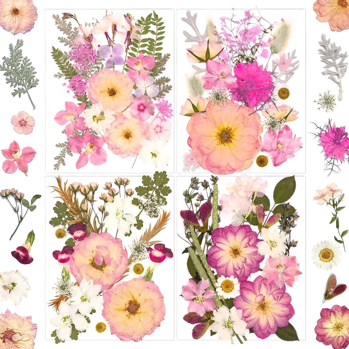 92-delig droogbloemen set geperste bloemen knutselmateriaal