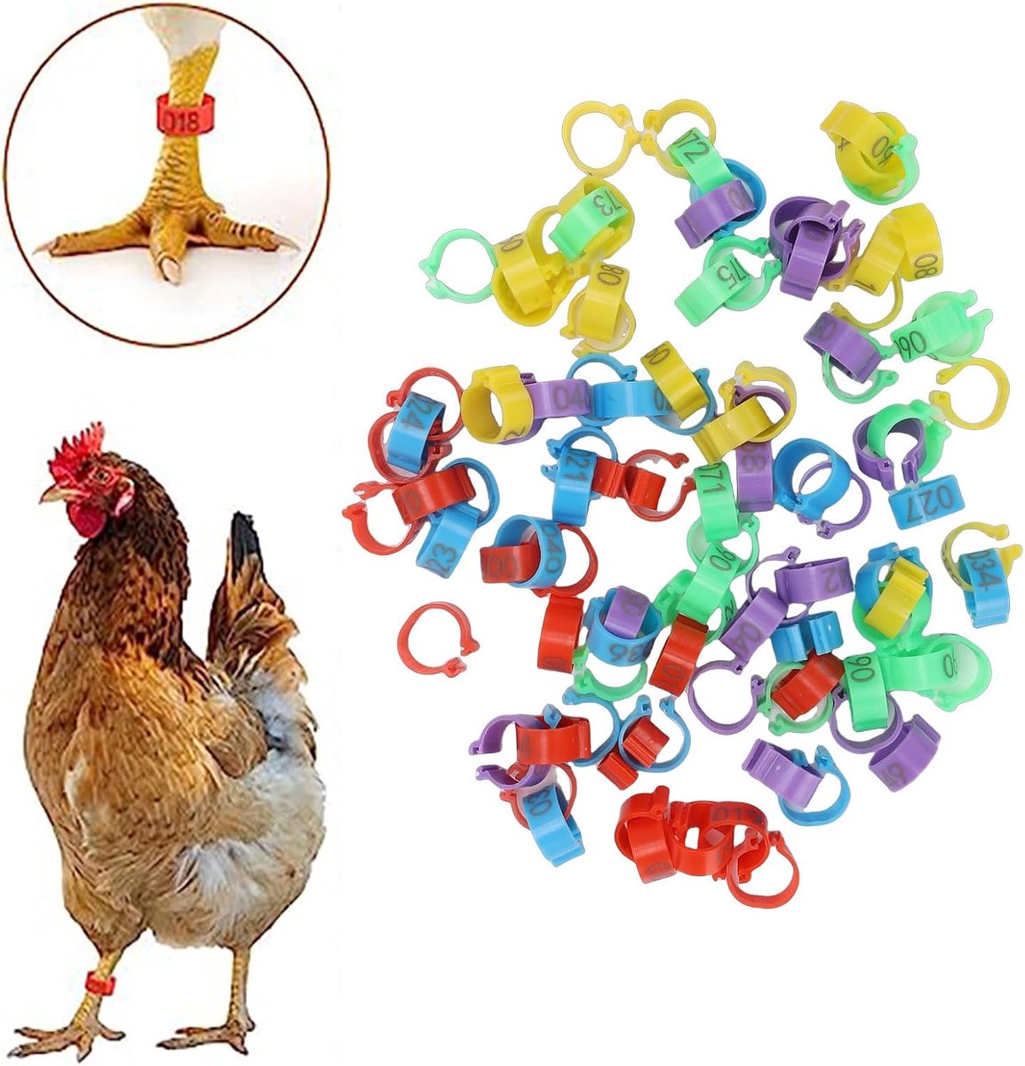 100 stuks kippenpootbanden, kleurrijke genummerde pluimvee-identificatieringen voor boerderijfokkerij, 8 kleuren, cijfers 01-80, plastic voor eenden, kippen, kwartels