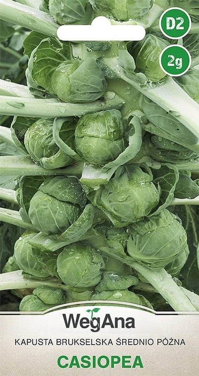 Spruitjes Casiopea Zaden - 2g Robuuste Groentezaden voor Tuinieren