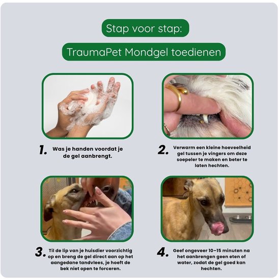 Stap-voor-stap instructies voor het aanbrengen van TraumaPet mondgel bij een hond.