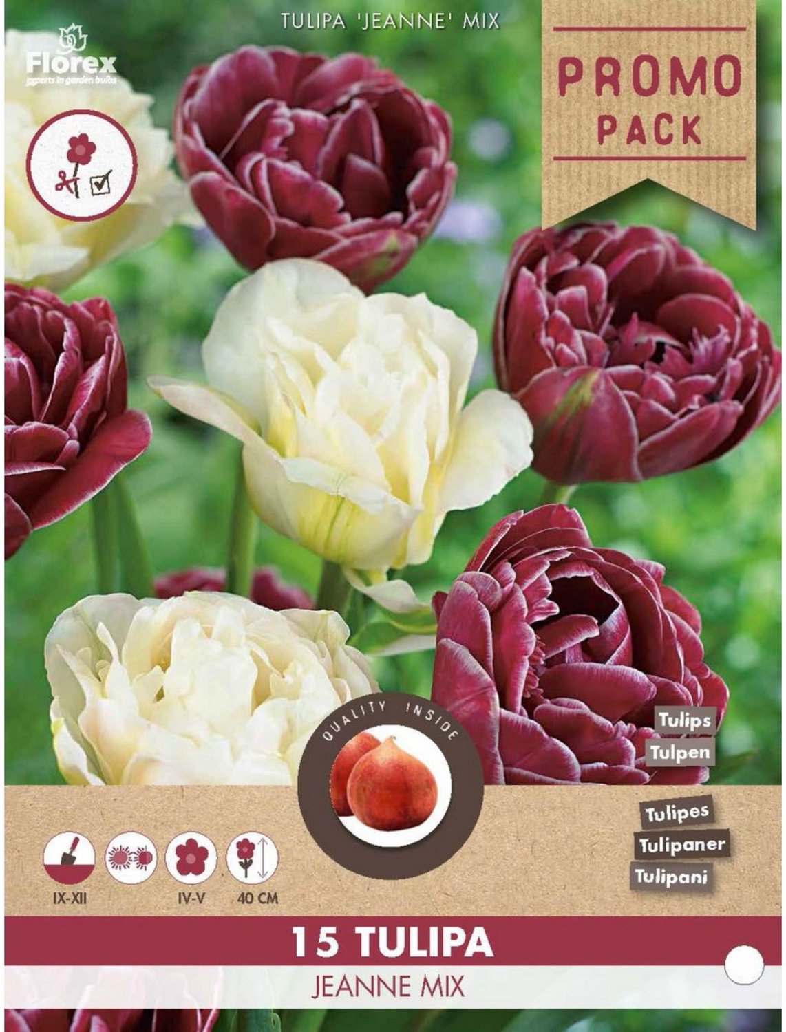 Tulpen Jeanne mix - Tulipa double - Snijbloemen - Voorjaarsbollen