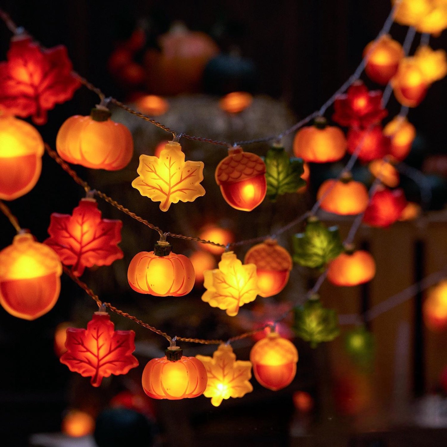 YAGXIG Herfst Decoratieve Lichtslingers - 2026 Herfst Lichtslingers - 6m 40 Lichten - Thanksgiving Lichten - Herfst Lichten - Werkt op Batterijen (Niet Inbegrepen) - Timing Functie - 8 Knipperende Modi - Herfst Decoratie Interieur