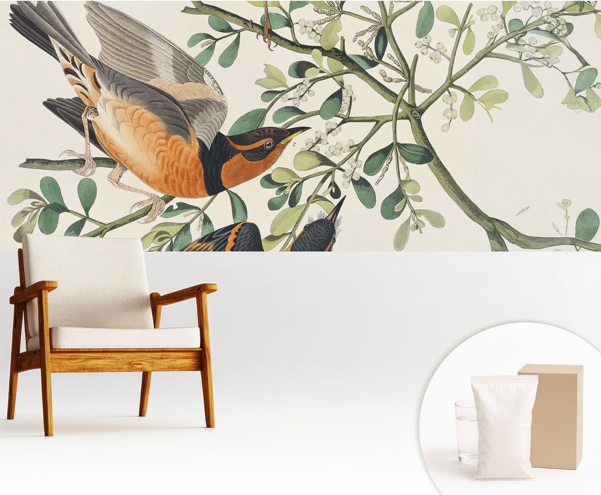 Wallfluent Fotobehang - Wit Vliesbehang - 250x104 cm - Kleurrijke Vogels Muurschildering - Gang behang Dieren - Fotobehang Vlies - Slaapkamer behang