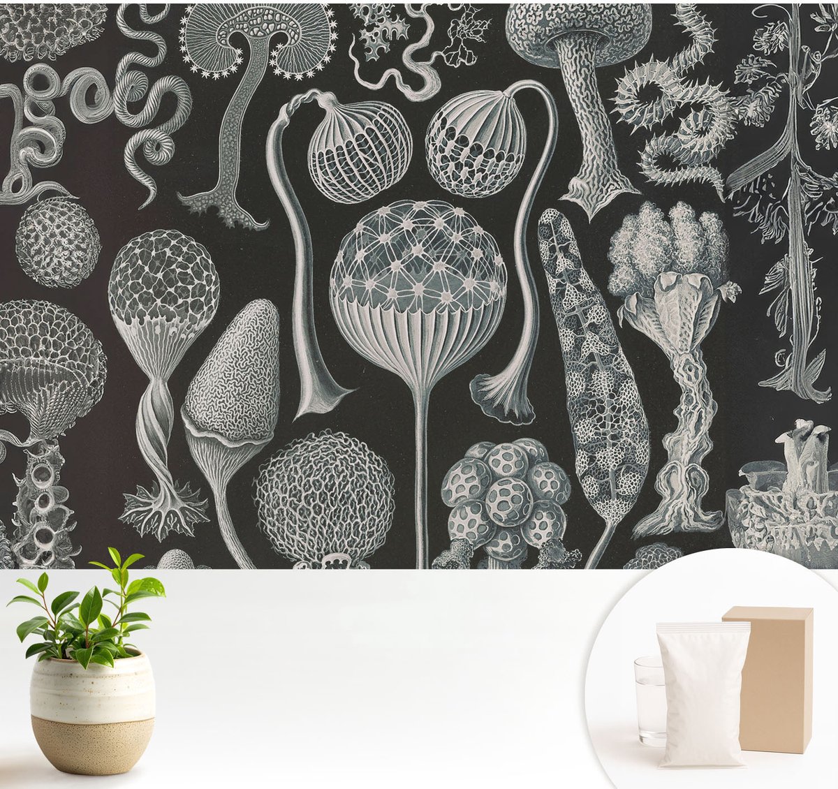 Wallfluent Fotobehang - Zwart Vliesbehang - 104x70 cm - Magische Planten Fotobehang Vlies - Hal behang Deel - Muurschildering - Woonkamer behang