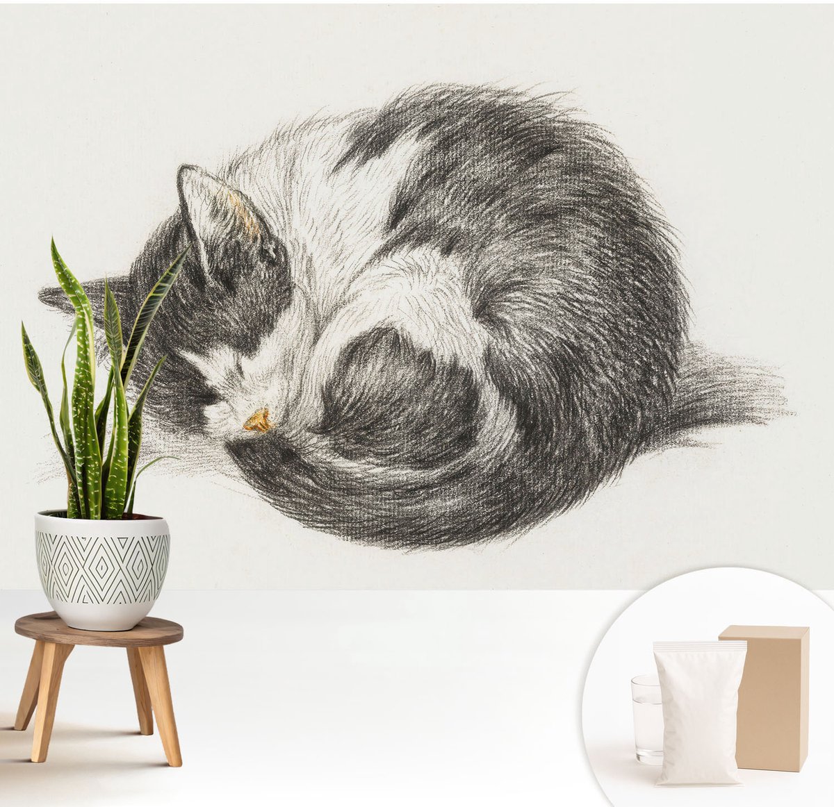 Wallfluent Fotobehang - Zwart-Wit Vliesbehang - 208x146 cm - Schattig Katje Muurschildering - Gang behang Dieren - Fotobehang Vlies - Slaapkamer behang