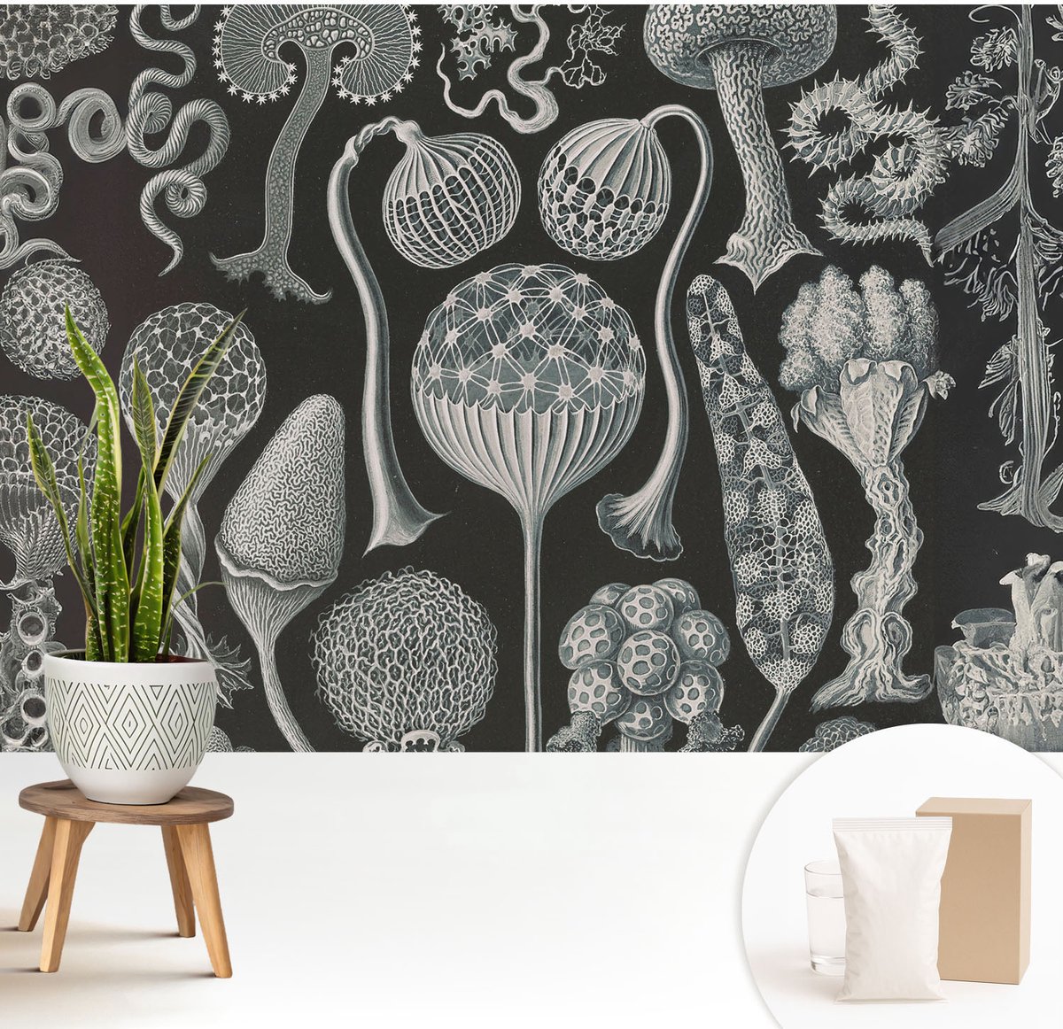Wallfluent Fotobehang - Zwart Vliesbehang - 208x146 cm - Magische Planten Fotobehang Vlies - Woonkamer behang Deel - Muurschildering - Woonkamer behang