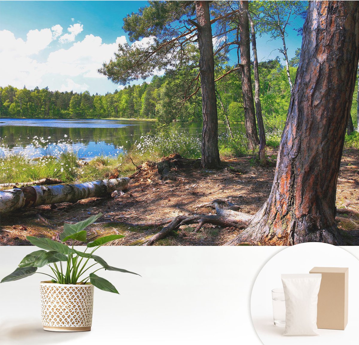 Wallfluent Fotobehang - Groente Vliesbehang - 152x104 cm - Boslandschap Fotobehang Vlies - Hal behang Landschappen - Muurschildering - Hal behang