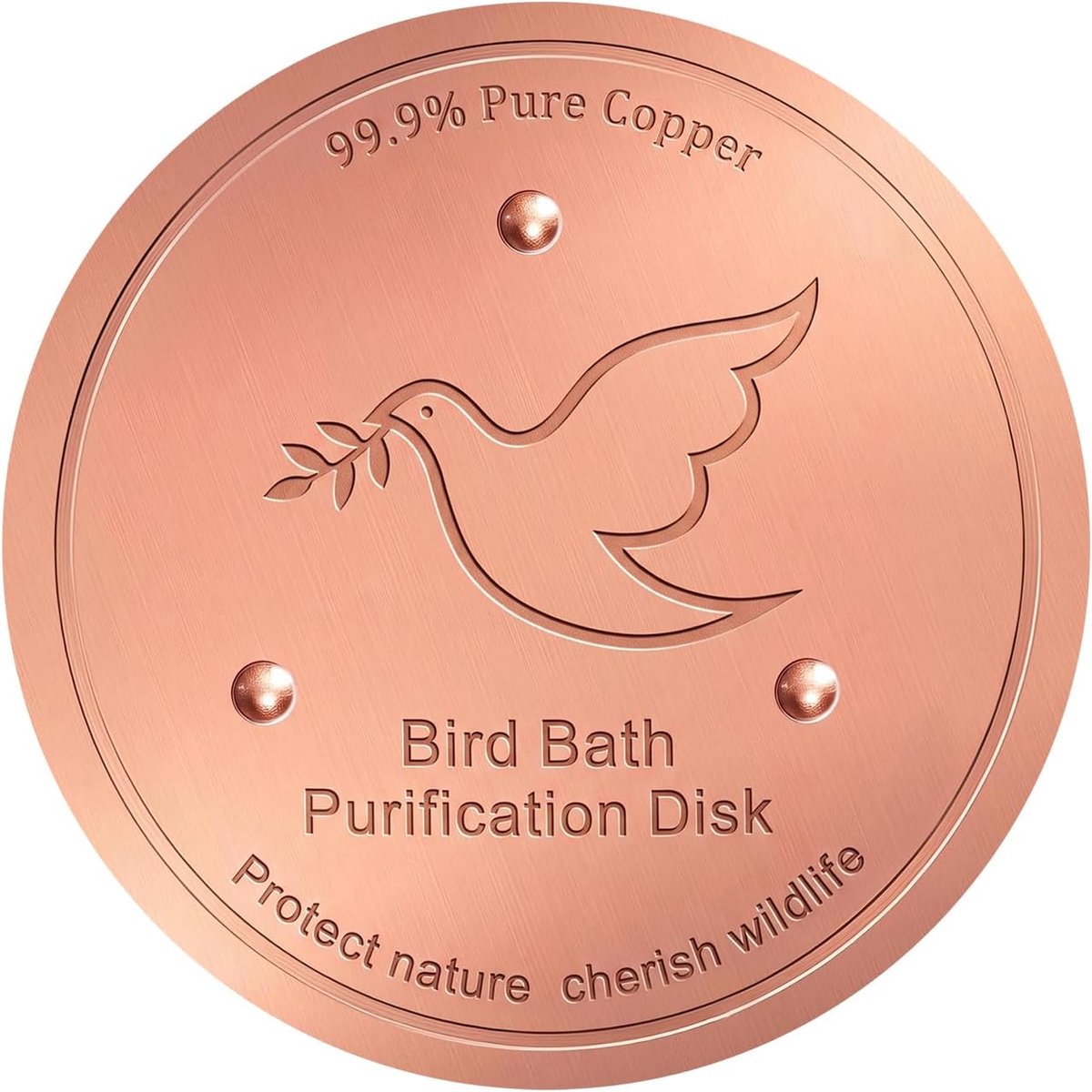 Schijf voor Vogelbadwaterzuivering, 10cm, Duif met Olijftak, voor buitenvogelbaden, schalen en fonteinen