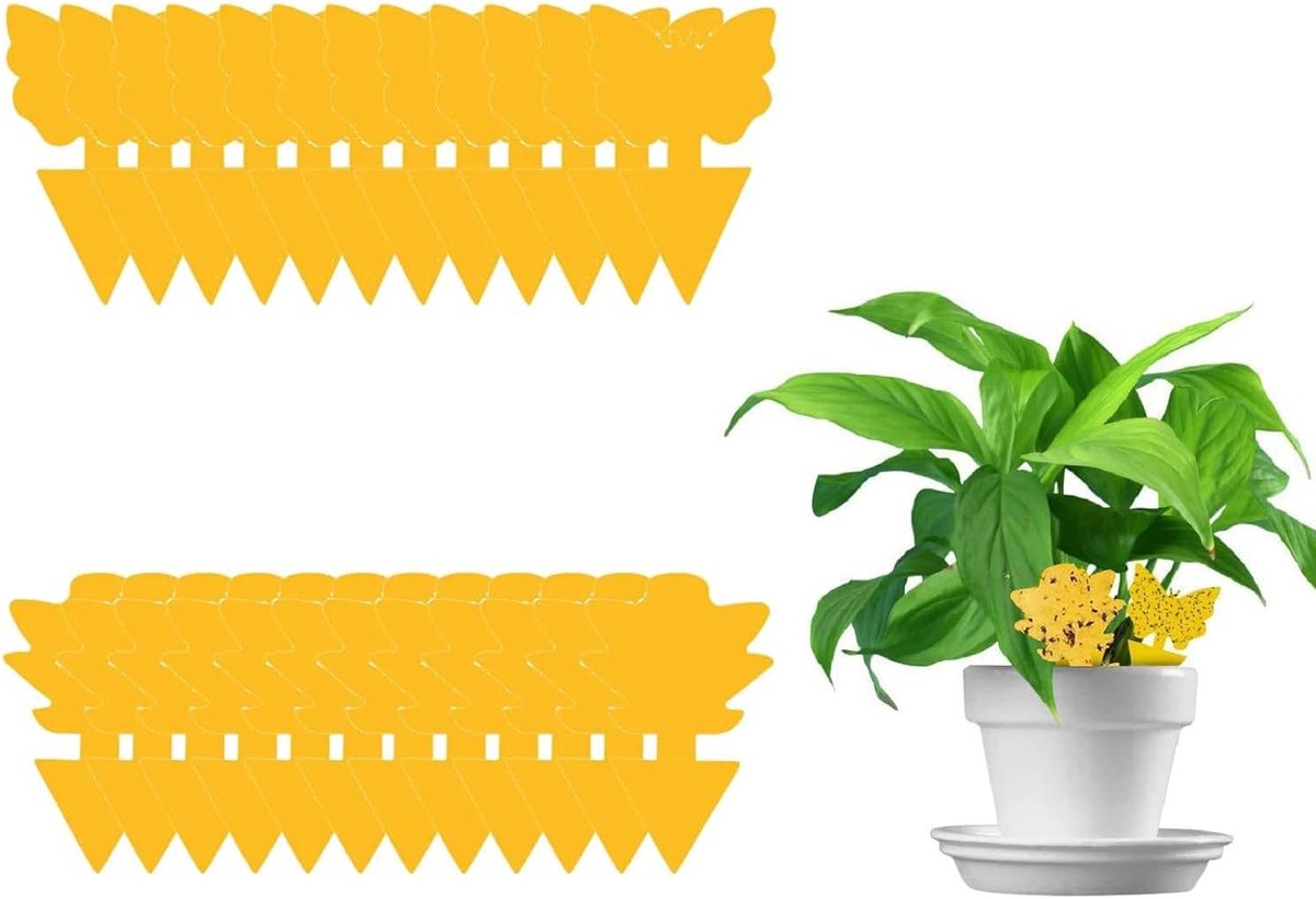 24 stuks, stickers voor insecten, vliegenval, geel, voor vliegende insecten, tegen ongedierte, schimmelvliegen voor tuinplanten