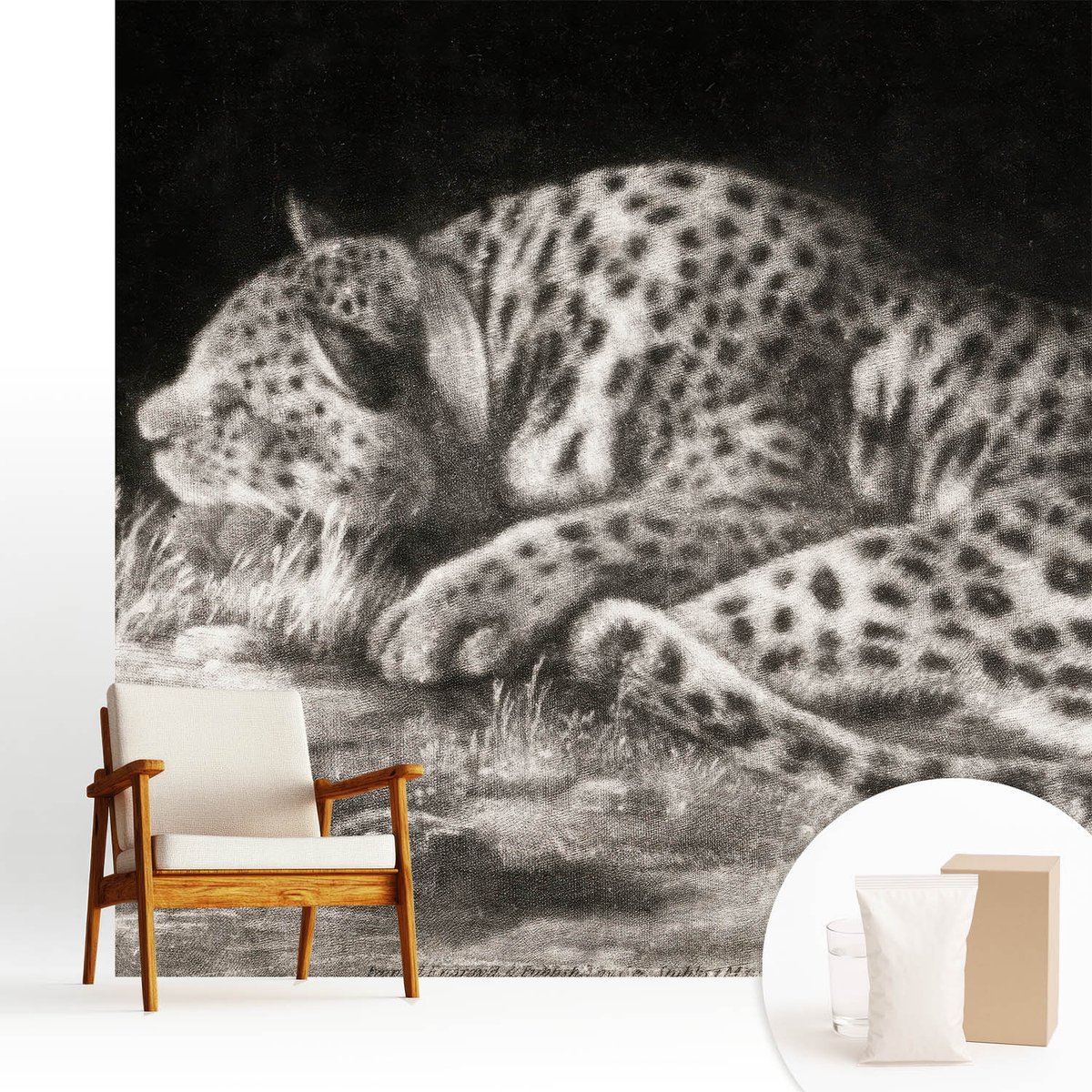 Wallfluent Fotobehang - Zwart-Wit Vliesbehang - 250x250 cm - Luipaard Rustend Muurschildering - Slaapkamer behang Dieren - Fotobehang Vlies - Slaapkamer behang