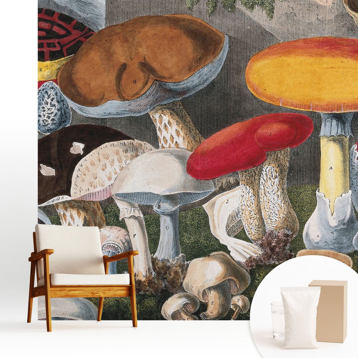 Wallfluent Fotobehang - Bruin Vliesbehang - 250x250 cm - Botanische Paddenstoelen Muurschildering - Gang behang Deel - Fotobehang Vlies - Gang behang