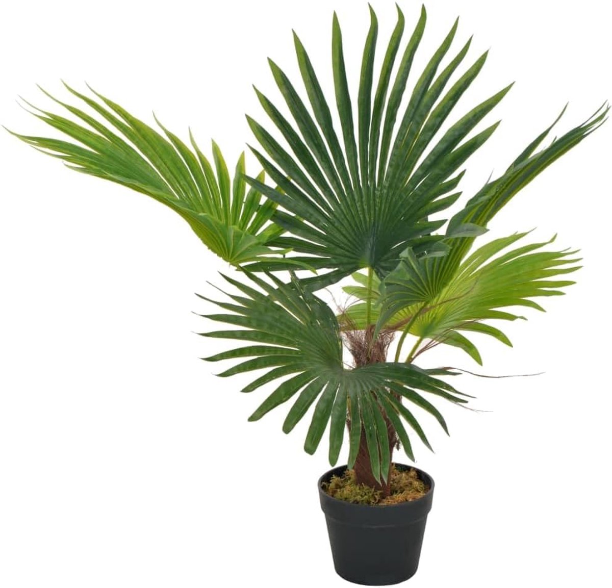 Kunstpalm, 70 cm, met groene pot