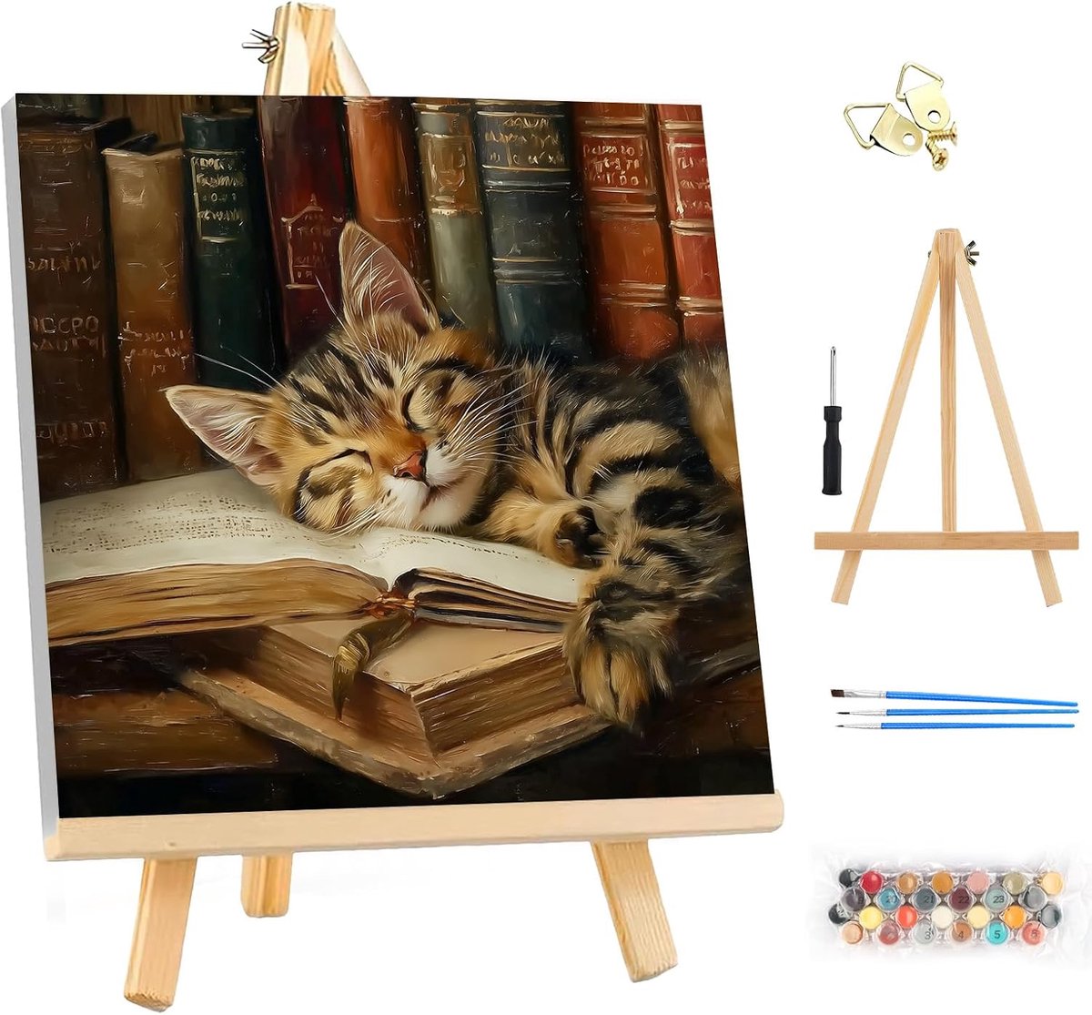 Paint by Numbers Kit - 25x25cm - Slaapkat Schilderen - Voor beginners en wanddecoratie - ShopVlot