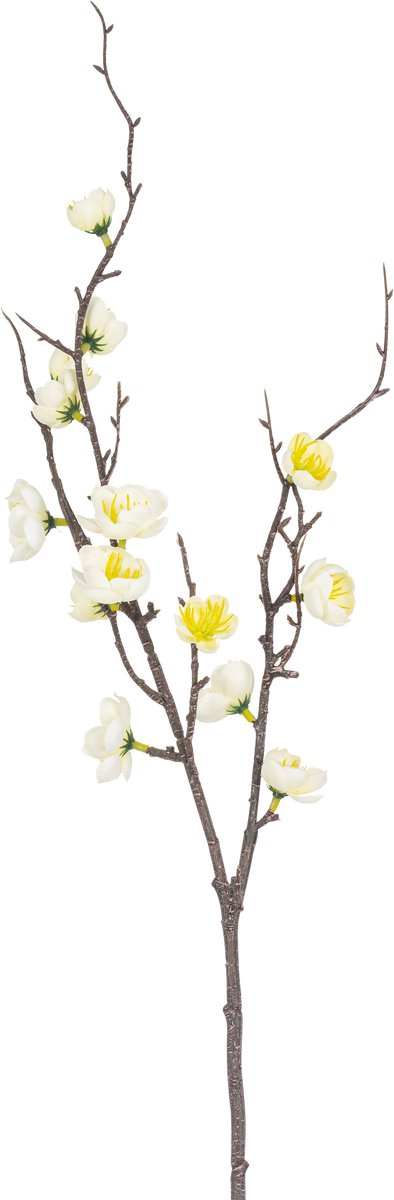 Easyplants | Kunsttak Prunus 78 cm wit | Zijde | Nepbloemen | wit | Onderhoudsvrij | Kant-en-klaar
