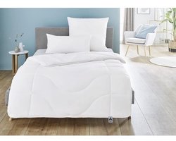 Badenia Bed Comfort Irisette Micro Thermo 4-Seizoenen Dekbed, met Drukknopen, Voor Alle Seizoenen, 240 x 220 cm, Wit