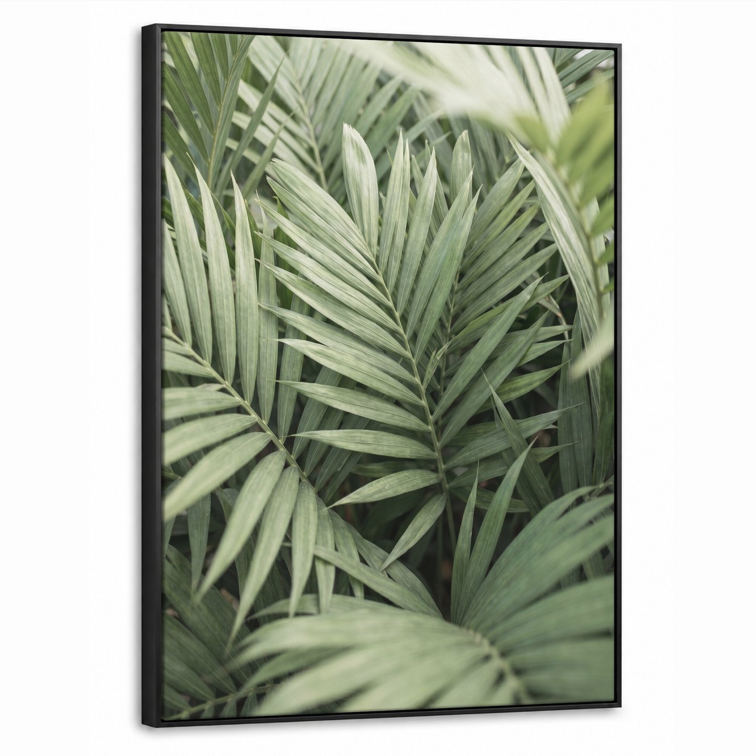 Canvas Schilderij met Baklijst - Plant - Palmbladeren - Natuur - Groen