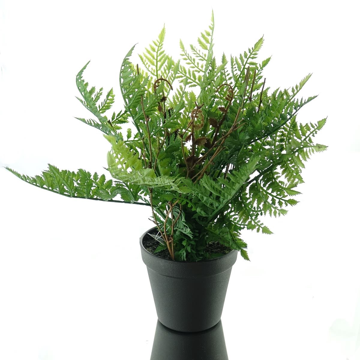 DPI varen in grijze kunststofpot 32 cm - kunstplant