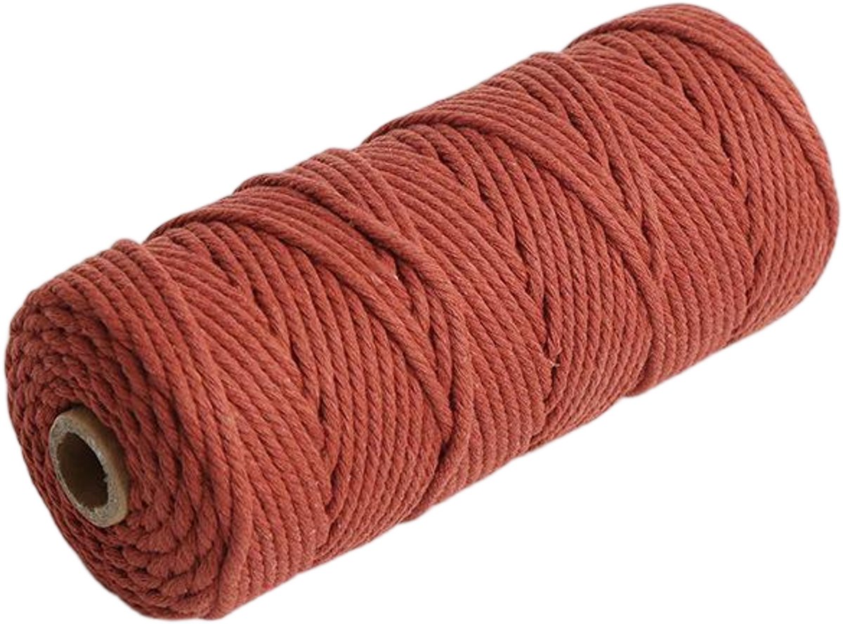 Macramétouw 3 mm x 100 m, natuurlijk katoenen draad voor wanddecoratie, plantenhangers, boho-decoratie,Roestbruin