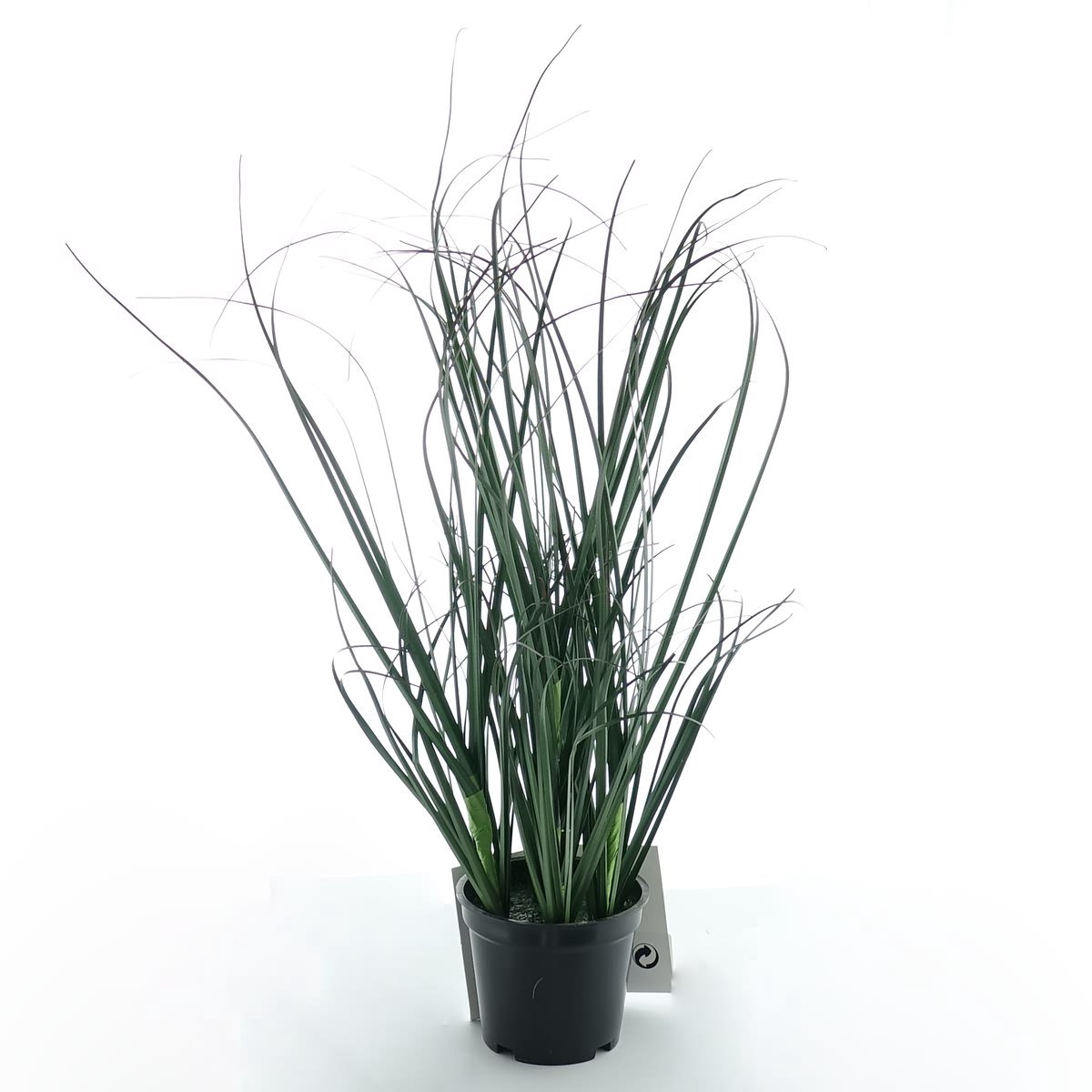 Kaemingk drakentandgras zwarte pot 30 cm - kunstplant