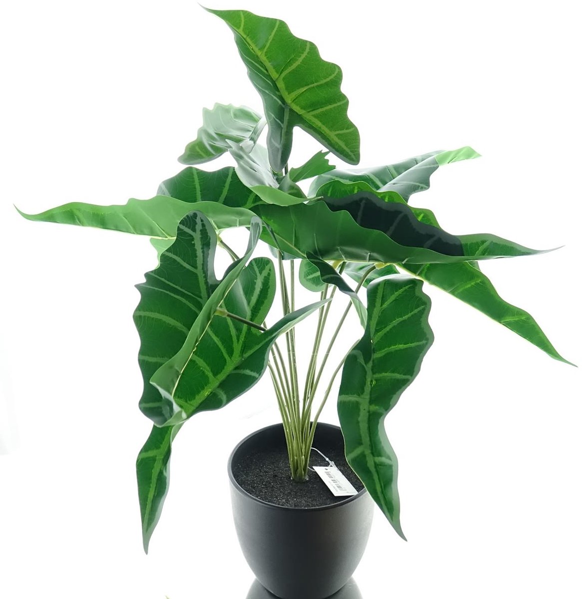 DPI Alocasia Pijlpunt Kunstplant 47 cm