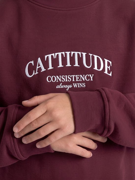 Bordeauxrode trui met 'CATTITUDE CONSISTENCY always WINS' opdruk.