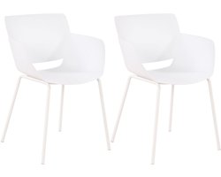 CLP Set van 2 Tuinstoelen Alpena - Met Armleuningen - Weerbestendig - Kunststof/wit