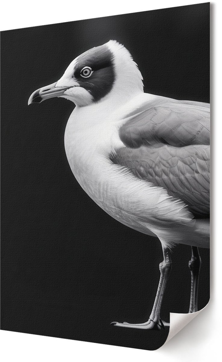 Coloray Polycanvas Wandposter - Geometrische Patronen, Fotografie - A2 - Zwart Illustratie - Rechthoek - Muurkunst - Woonkamer, Slaapkamer, Kantoor - Modern