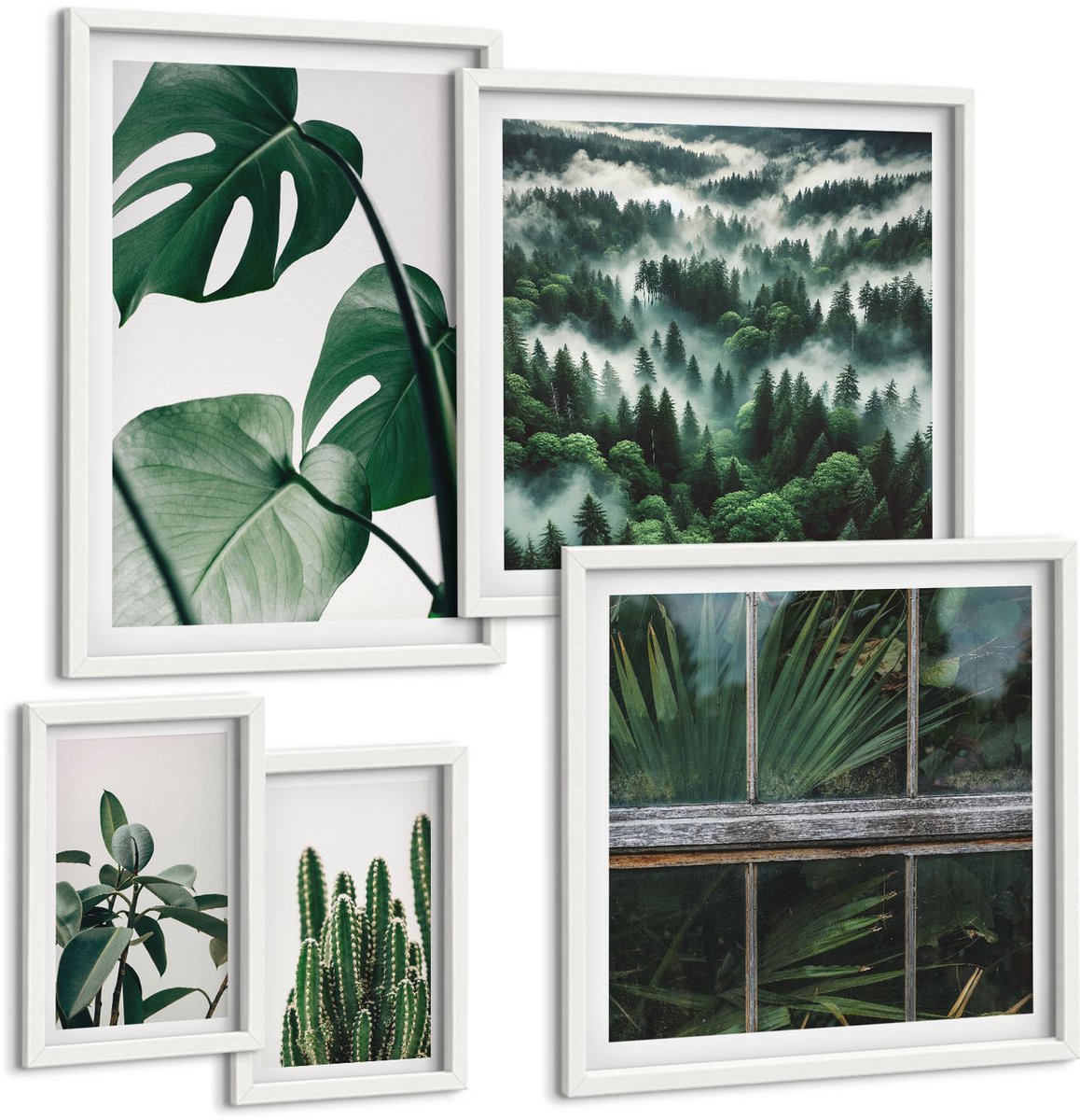 Coloray 5-Delige Schilderij Set - Planteninspiratie Met Tropische Bladeren En Cactussen - 50 x 50 cm, 20 x 30 cm En 40 x 60 cm - Wanddecoratie - Woonkamer Decoratie