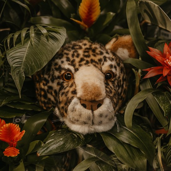 Een luipaardkop knuffel te midden van weelderige groene bladeren en rode en oranje bloemen.