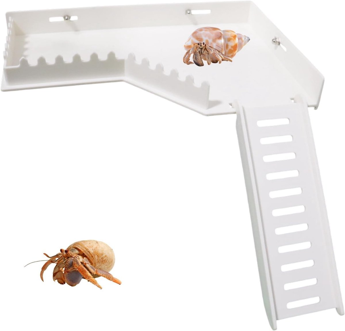 Klimplatform zonder boren met helling, klimwand en schuilplaats voor heremietkreeften, ideaal voor gekko's, kleine hagedissen en hamsters, eenvoudig te monteren zonder gereedschap