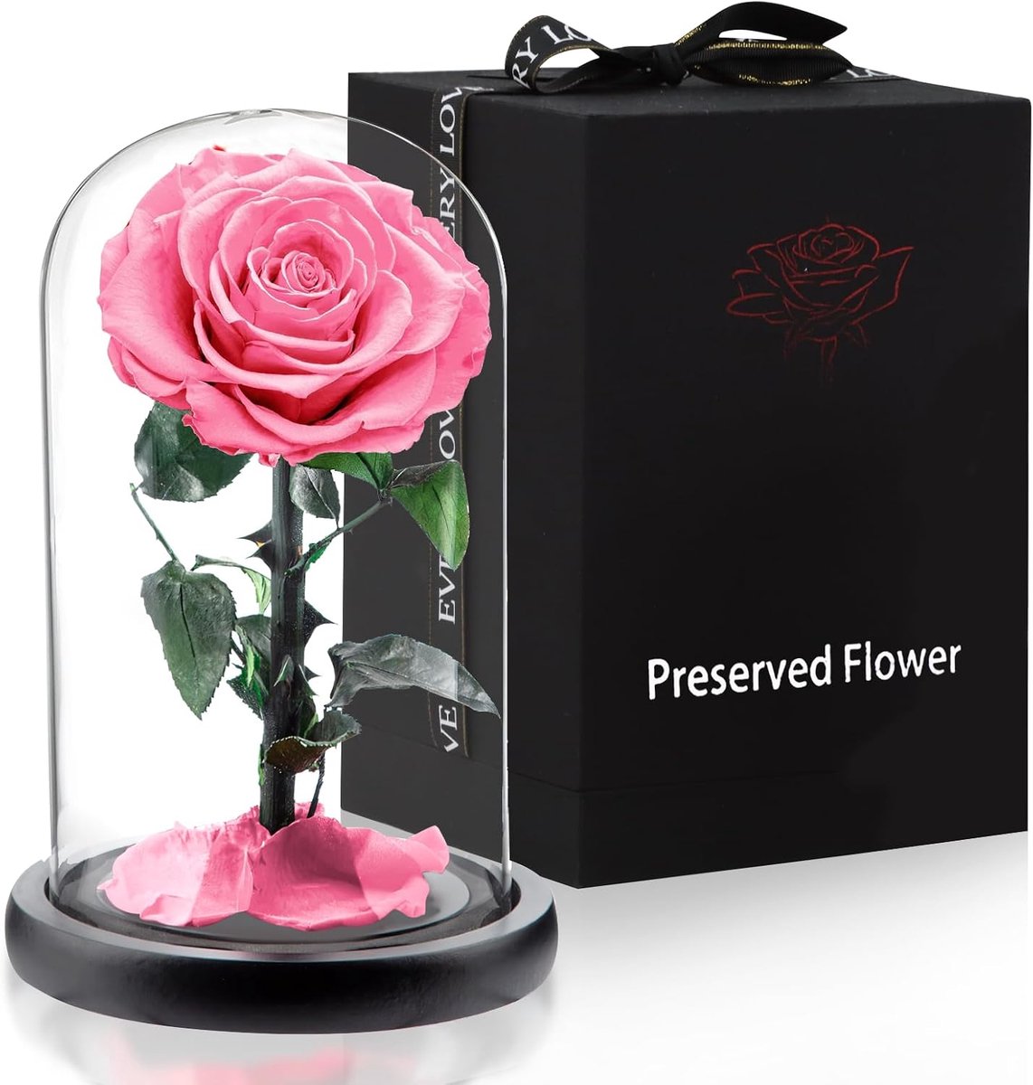 Dailygoods- Roos in Glazen Kooi - Echte Rozen - Cadeau voor Vrouwen - Verpakking 14 x 24 cm - Handgemaakt - Symboliseert Eeuwige Liefde - Eternity Ros