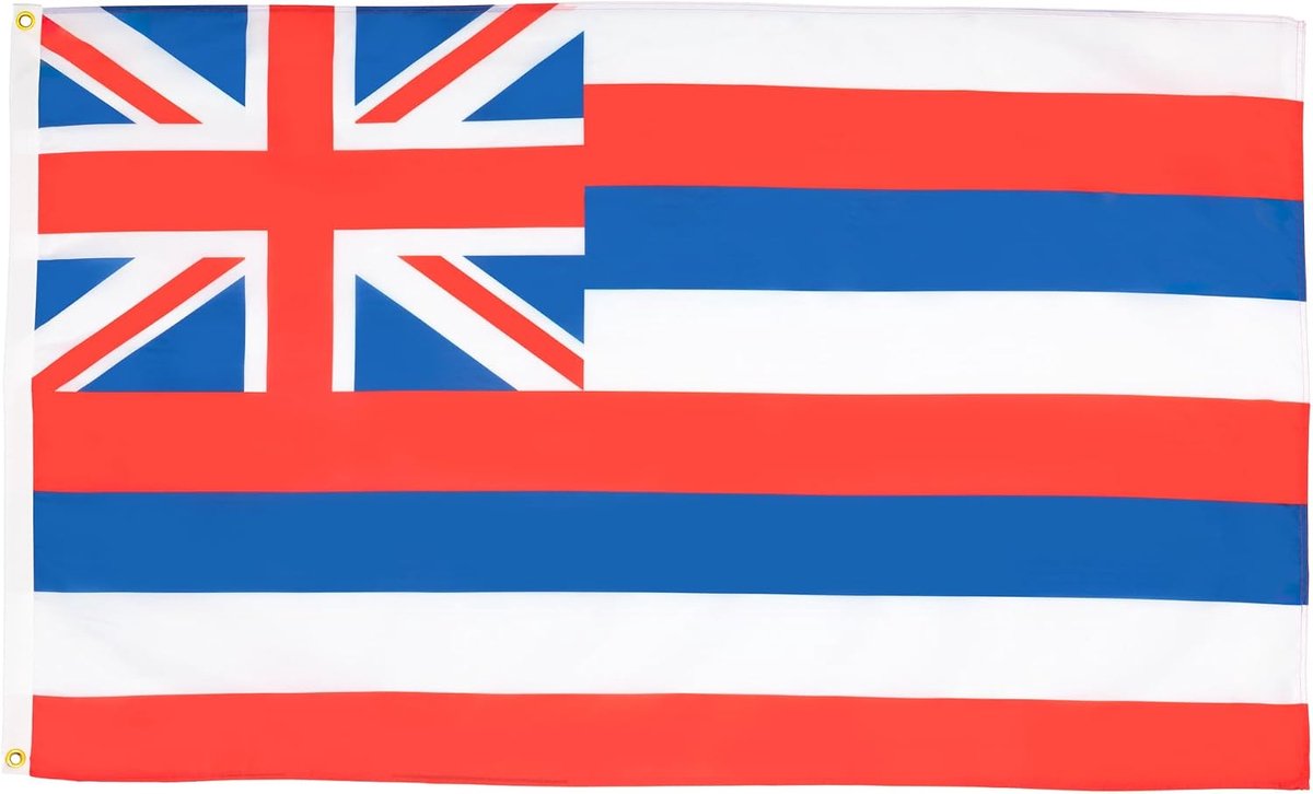 Vlag Hawaï 150x90 cm Polyester 100D 2 Ringen