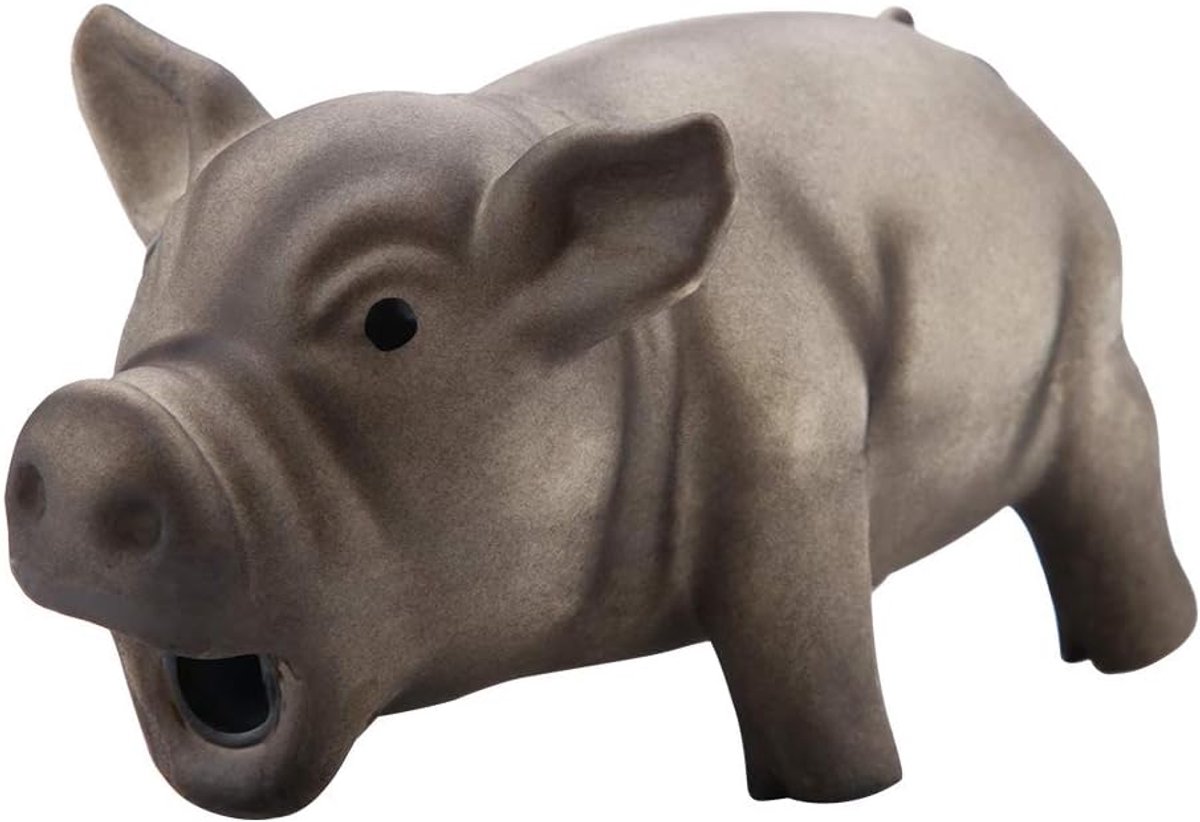 Piepend Varkensspeelgoed voor Honden, Latex, Tandreiniging, Interactief Kauwspeelgoed, 16 × 8 × 8 cm, Zwart