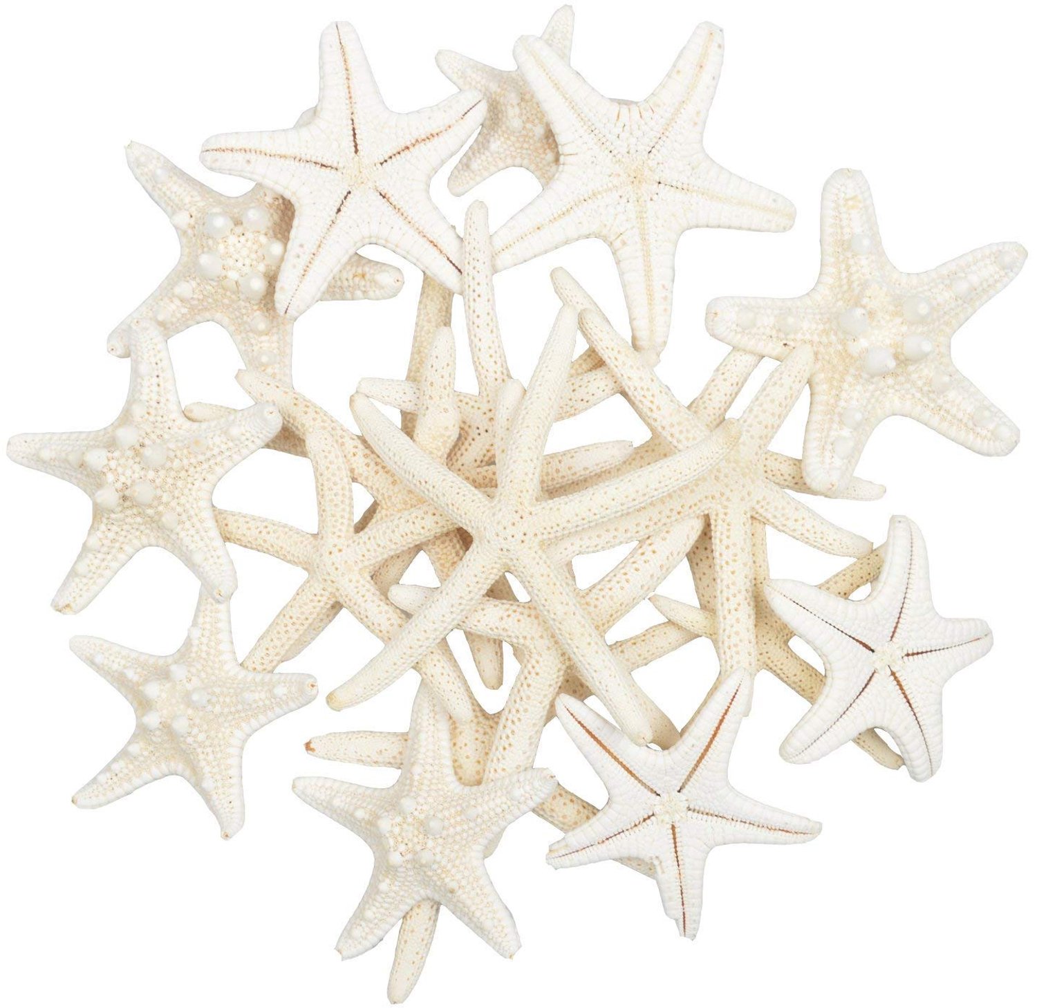 Yixuan LLC 20Pcs Zeester Gemengd Oceaan Beach Strand Natuurlijke Zeester Echte Zeester Schelpen Zeesterren Perfect - ShopVlot