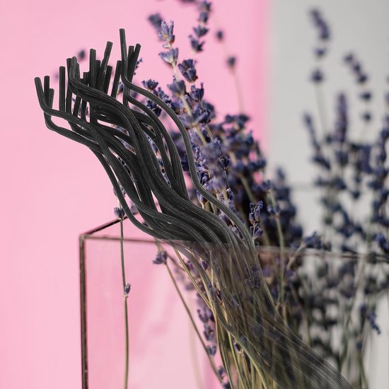 40 Stuks Geurstokjes Rotan Diffusersticks Zwarte Vervangingsstaafjes voor Aromadiffuser Aromatherapie Thuis Gebruik Slaapkamer Woonkamer Keuken — afbeelding 2