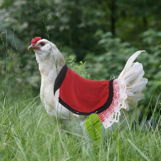 2 Stuks Kippenzadel Beschermhoes met Verstelbare Elastische Riemen Duurzaam Kippenrugschort voor Bescherming van Veren Bij Grote Kleine Hennen Geschikt voor Pluimveebescherming — afbeelding 3