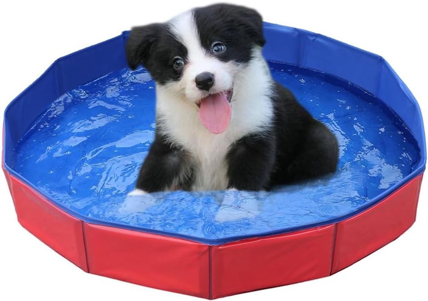 Opvouwbare Hondenbad, Kinderen's Zwembad voor Kleine Honden, Waterbestendig PVC, 50 x 8 cm, Geschikt voor Buiten en Binnengebruik