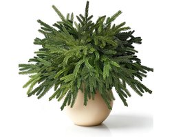 45,5 cm kunstmatige Norfolk Pine Ceder Takken 12 Pack, zachte TPE Faux Evergreen Winter Greenery Picks, Fake Pine Stengels voor Kerst Krans Slinger Vaas DIY Indoor Outdoor Boerderij Decor