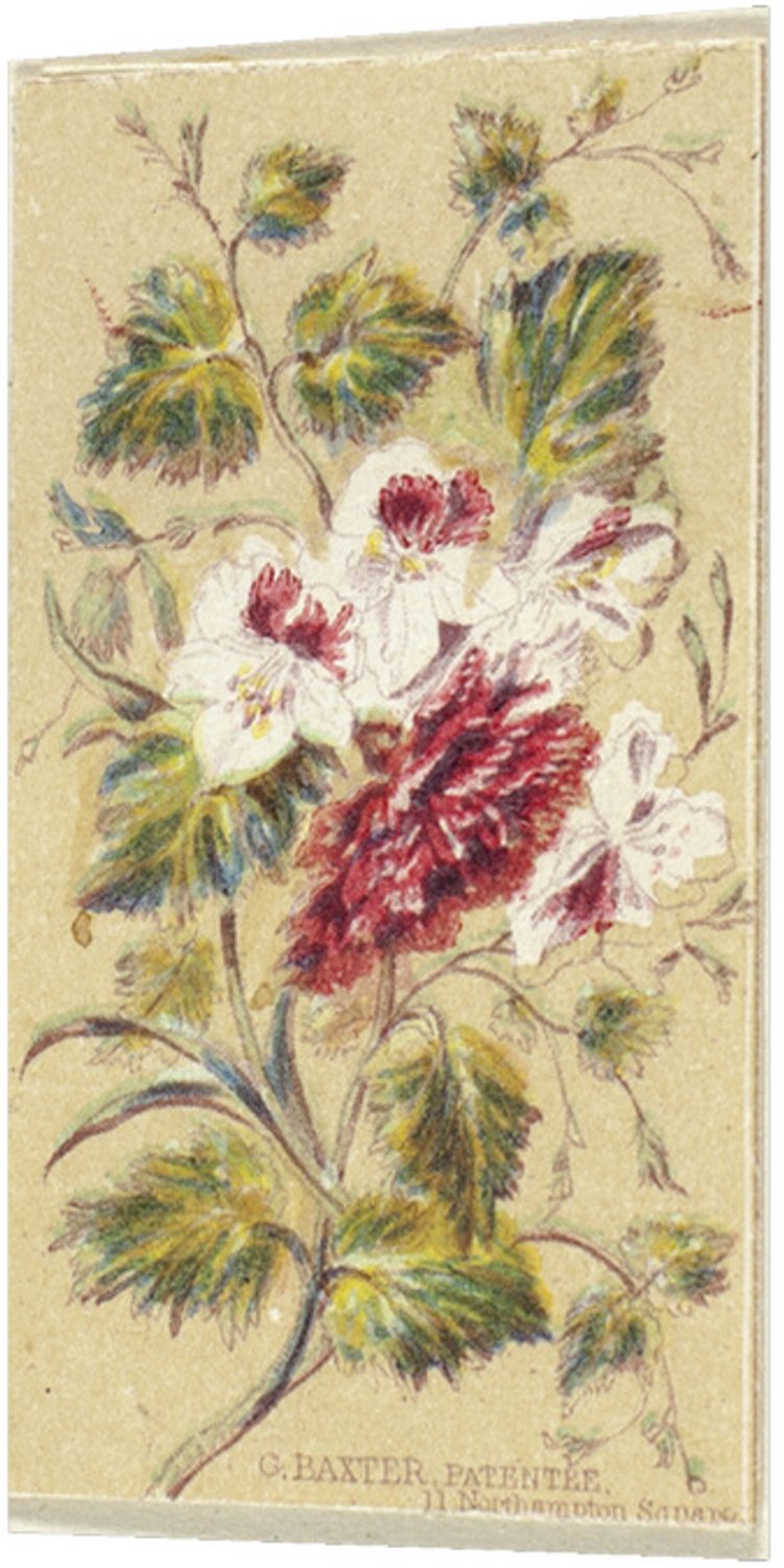 Printen.eu Poster - Queen's Floral Needle Box Set, also called Ten Bouquets - 11.1 x 20.5 cm Multicolor
