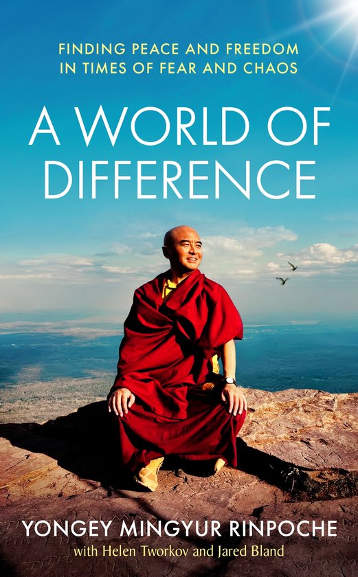 Couverture du livre 'A World of Difference' avec Yongsey Mingyur Rinpoche en robe rouge sur un rocher, avec le texte 'Finding Peace and Freedom in Times of Fear and Chaos'.