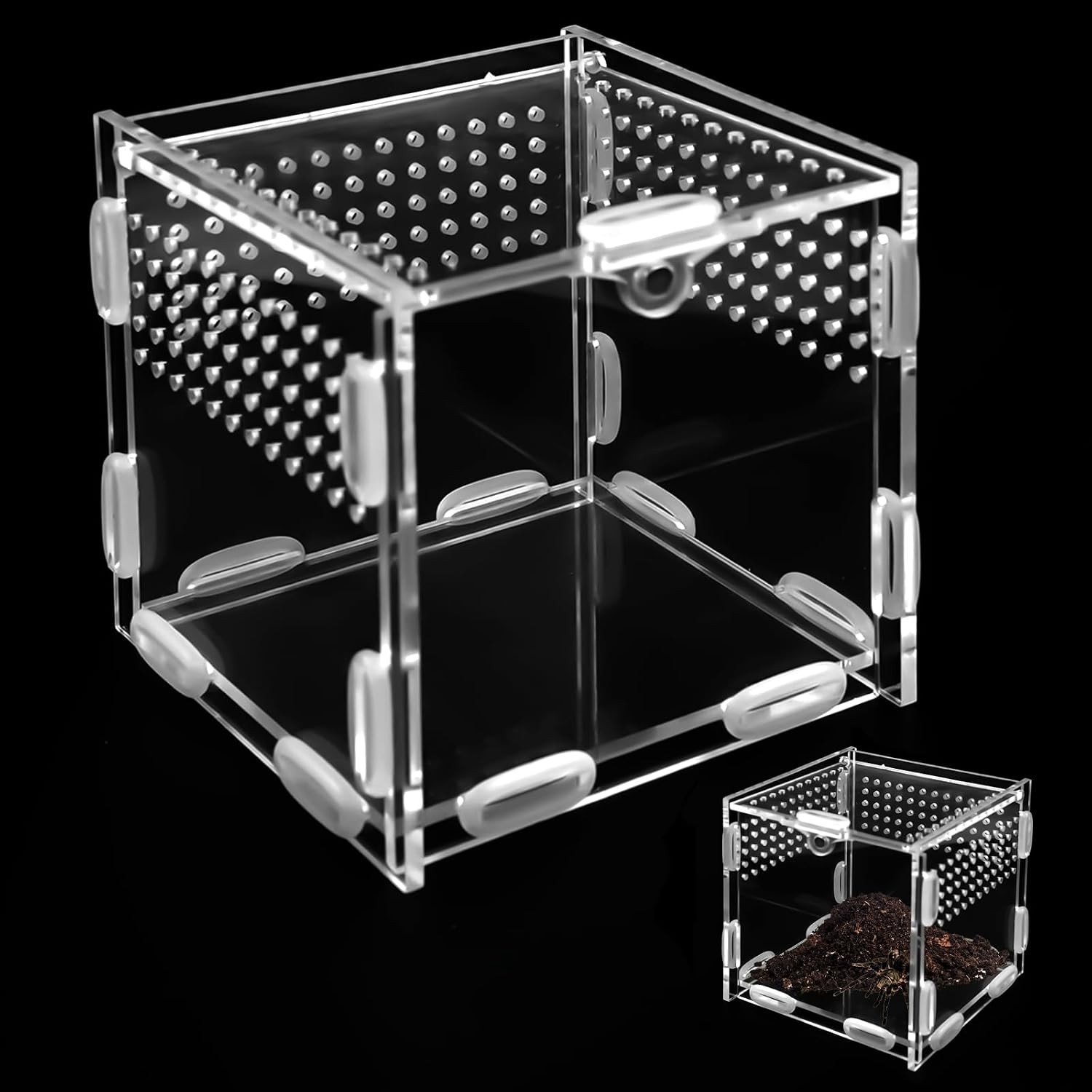 Reptielen Voederbox - Transparant - 10 x 10 x 10 cm - Acryl Mini-Terrarium - Voor Kleine Huisdieren