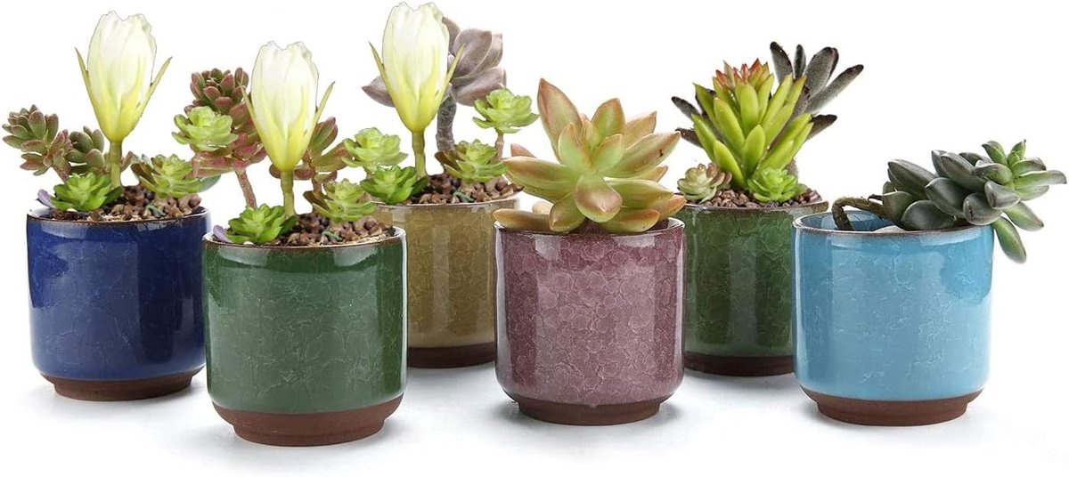Set van 6 Kleurige Keramische Potten voor Vetplanten, Ideaal voor Aloë Vera en Huishoudelijke Planten, Perfect als Decoratief Cadeau