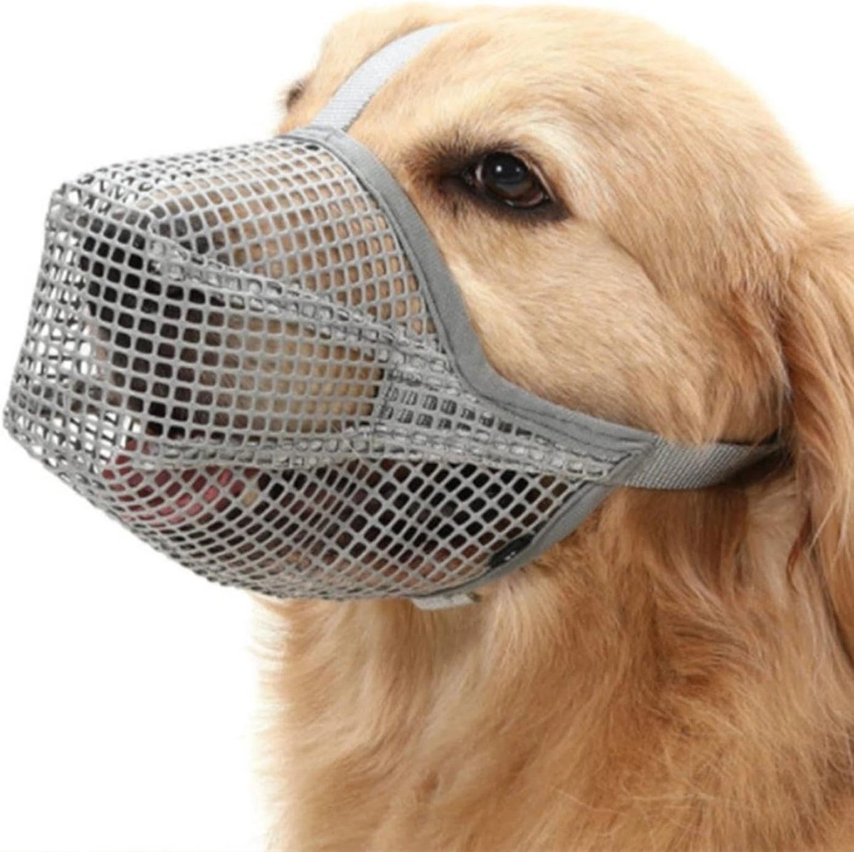 Verstelbare Hondentuigje, Ademend Muilkorf voor Kleine, Middelgrote en Grote Honden, Voorkomt Eten, Nylon Muilkorf in Lichtgrijs, Maat L