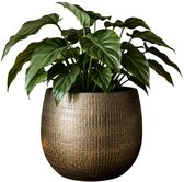 Ter Steege Plantenpot - metal look - goudkleurig - D26 x H25 cm - bloempot