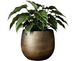 Ter Steege Plantenpot - metal look - goudkleurig - D26 x H25 cm - bloempot