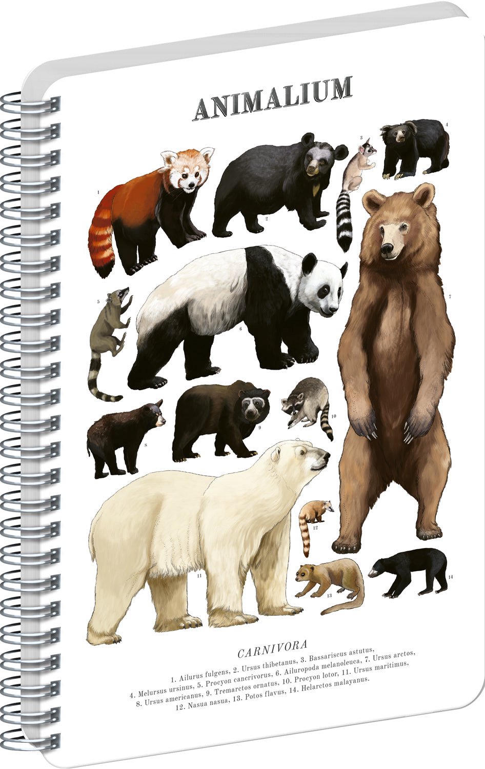 Bears Spiraal Notitieboek A4 Blanco