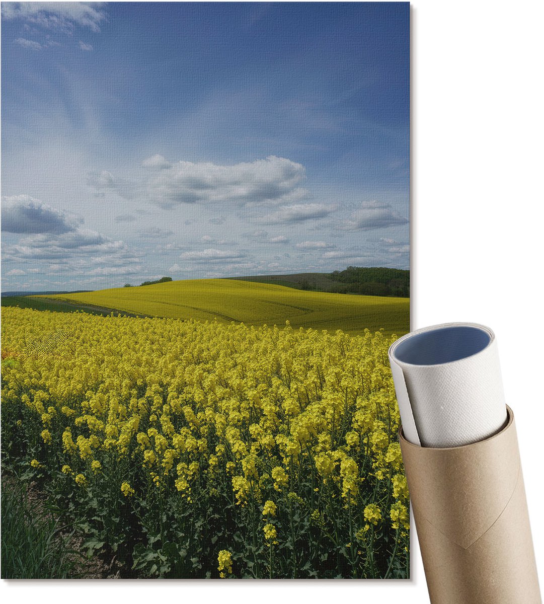 Coloray Canvas Poster Polycanvas - Koolzaadvelden, Fotografie - A4 - Geel Decoratie - Rechthoek - Wandkunst - Woonkamer, Slaapkamer, Kantoor - Klassiek