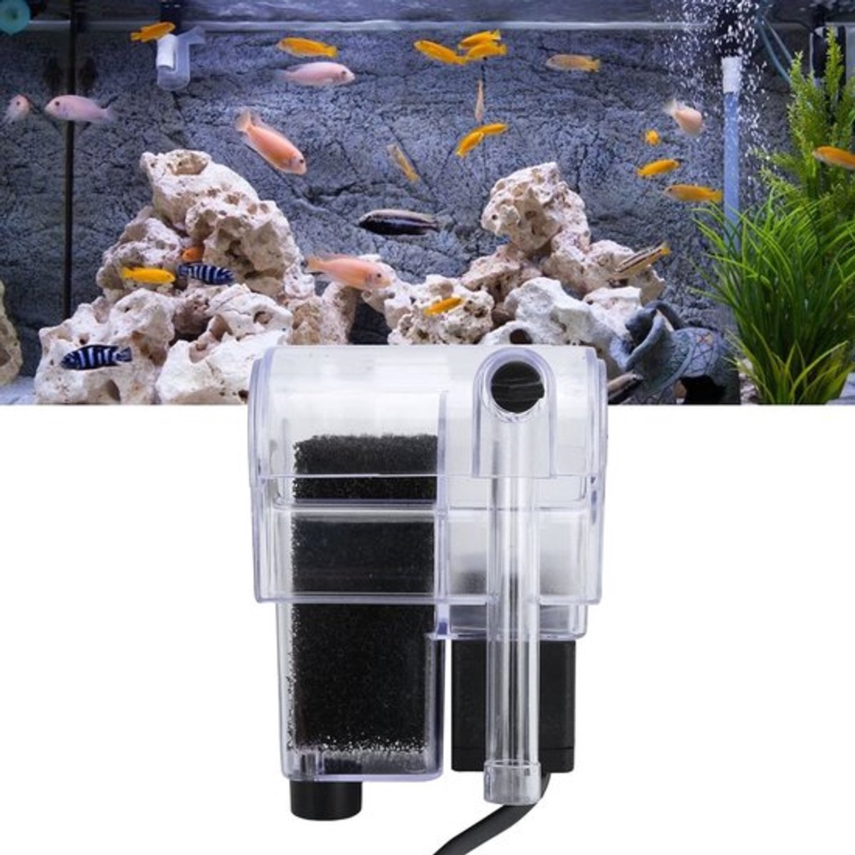 Allecto - Aquariumfilter - Multifunctionele filter - Verstelbare