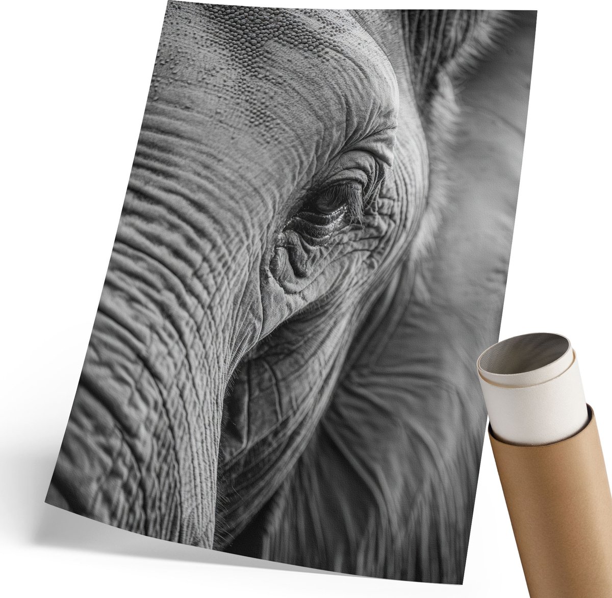 Coloray Canvas Poster Polycanvas - De Blik Van De Olifant, Fotografie - 210 x 297 mm - Zwart-wit Poster - Rechthoek - Kunstposter - Woonkamer, Slaapkamer, Kantoor - Klassiek
