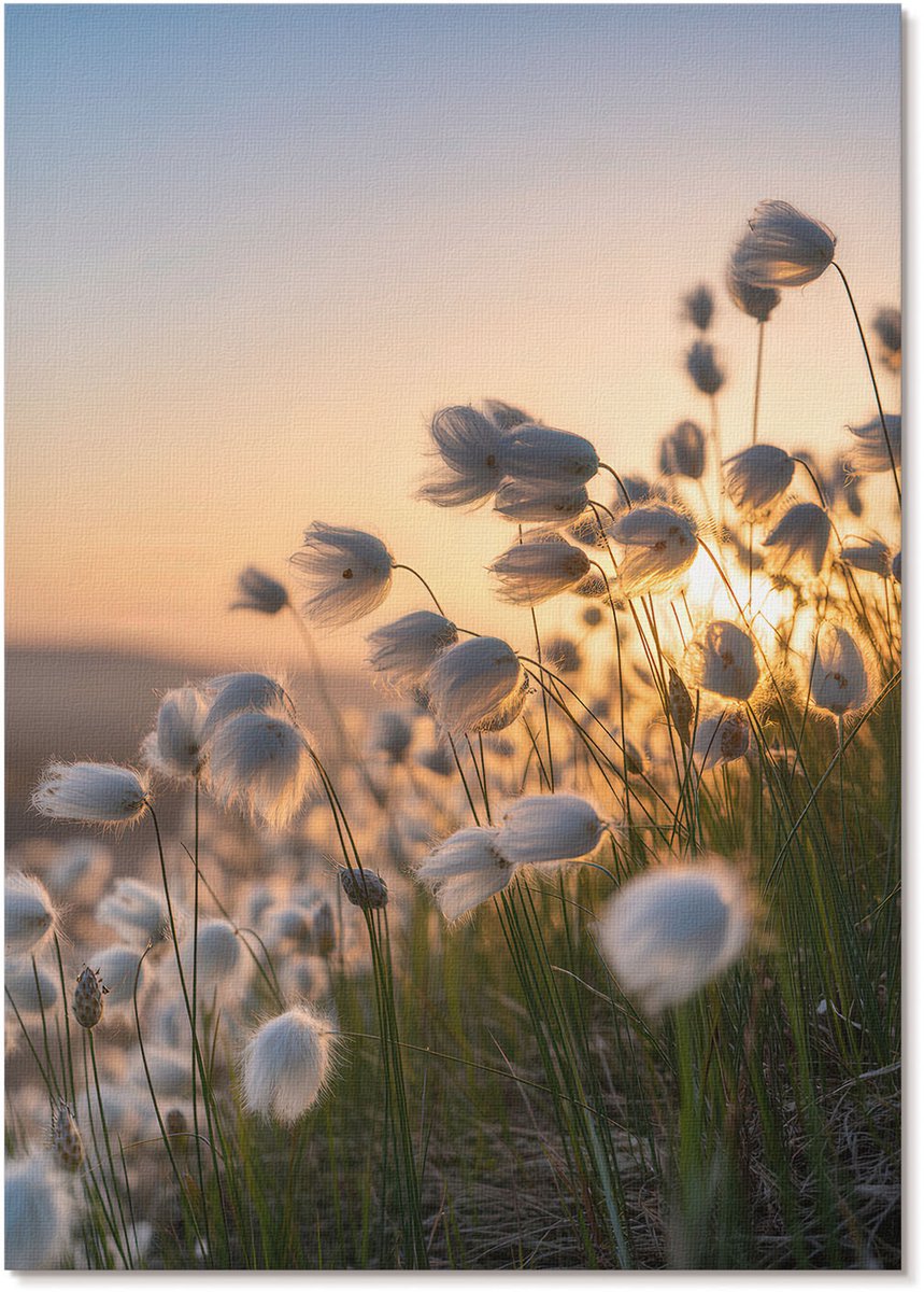 Tulup Canvas Poster Polycanvas - Romantisch Landschap, Fotografie - A4 - Oranje Decoratie - Rechthoek - Wandkunst - Woonkamer, Slaapkamer, Kantoor - Klassiek